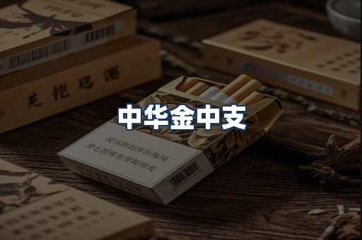 中华金中支